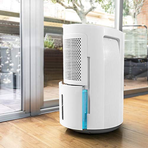 Cecotec Deumidificatore Big Dry 9000 Professional, Timer 12 Ore, Umidità dal 40% all’80%, Schermo LED, Spegnimento Automatico, Bianco