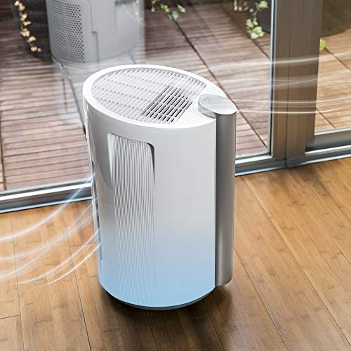 Cecotec Deumidificatore Big Dry 9000 Professional, Timer 12 Ore, Umidità dal 40% all’80%, Schermo LED, Spegnimento Automatico, Bianco
