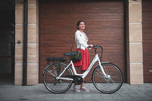 F.lli Schiano E-Moon, Bici Elettrica da Città 28 Inches per Adulti, 36V 13Ah Batteria Rimovibile, Motore 250W 40Nm, City Ebike