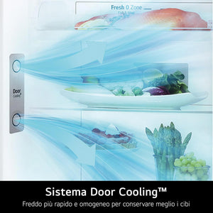 LG GTF916PZPED Frigorifero Doppia Porta, Classe E, 592l, Connettività Wi-fi Con App Thinq, Door Cooling, Gestione Umidità, Frigorifero Con Dispenser Acqua, Inox
