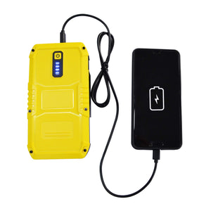 MAXTOOLS JSL400 Avviamento d’Emergenza Professionale per Automobile 2400 A per Veicoli Diesel e a Benzina di Grandi Dimensioni, Potente e Sicuro a 12 V, Batteria al Litio Esterna con USB